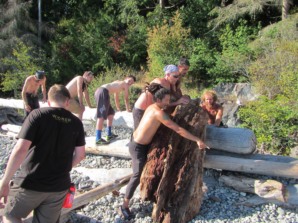 Group teamwork challenge moving logs on the beach