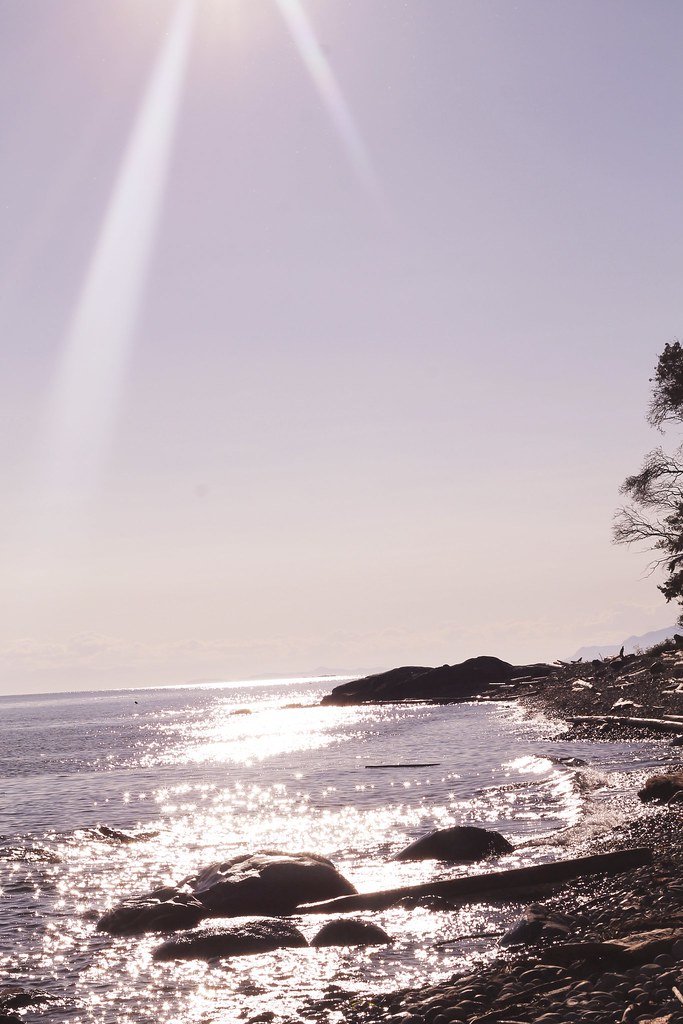 Sunset light on the shoreline, a moment of reflection